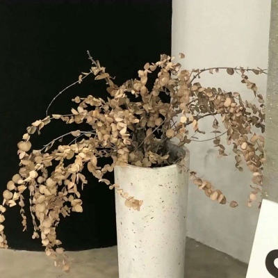 兽设表情绘制实用教程FurryQQ群